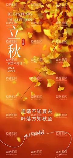 立秋节气海报   - 源文件下载【酷图网】海报,二十四节气,立秋,银杏树叶,秋天,手绘,
