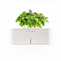 Smartpots is a minimalist design created by Estonia-based company Click and Grow. The company manufactures electronic pots that grow plants without the need to water or fertilize them. Without any knowledge of gardening, one can use Click and Grow to grow