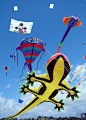 Kite Festival at Coolum Beach, Queensland