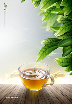 （智在）胡采集到茶