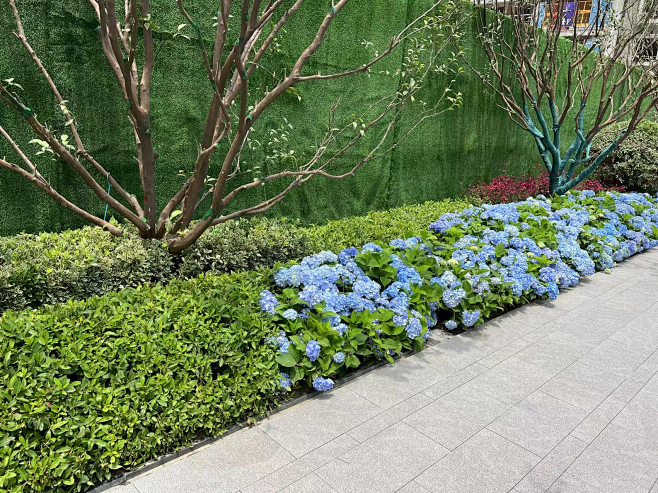 香泡与围挡关系