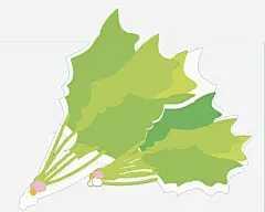 绿色植物蔬菜免抠素材 页面网页 平面电商 创意素材 png素材