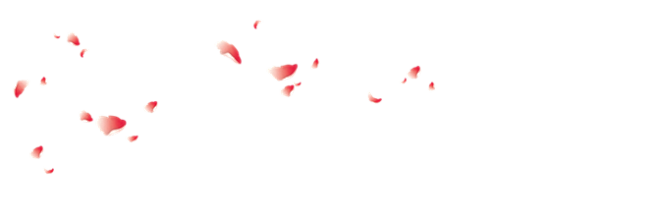 玫瑰花瓣#落叶#花朵png#素材#漂浮