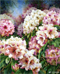 澳大利亚画家Darryl Trott的水彩花 ​​​​