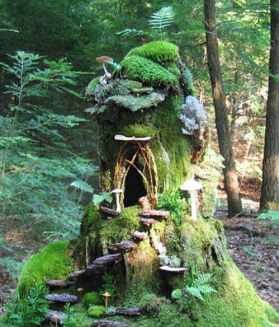 fairy house: 