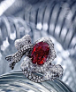 今季苏富比将呈献一枚8.03卡拉古垫形天然「鸽血红」缅甸红宝石镶钻指环（估价：2,800万至3,300万港元／350万至420万美元），由著名亚洲珠宝设计师赵心绮（Cindy Chao）设计。此枚份量十足的天然红宝石来自缅甸抺谷，肉眼完全不见内含物，净度极佳，呈浓艳饱和的「鸽血红」色泽，由著名亚洲珠宝设计师赵心绮应邀为苏富比创作，以立体丝带为设计概念，细致镶嵌的钻石缎带凸显了红宝石的艳丽色彩及火光，轻柔婉约地衬托出这颗8.03卡拉红宝石的高贵气质。@北坤人素材