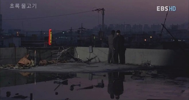 色调与构图 | 李沧东《绿鱼》 ​​​​