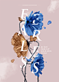 Cinderella Past Midnight : Cinderella Past Midnight combines original illustrations, typography, and copywriting, movie moment GIF sets, and images from the film to create an exciting and grand aesthetic that mirrors the themes of kindness, courage, and a