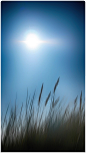 Afternoon sun by Jayne Odell ARPS on 500px