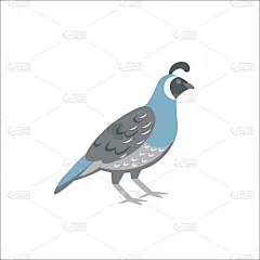 白色背景上的卡通鹌鹑。平面卡通插图的孩子。