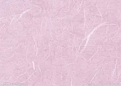 纸纤维1
