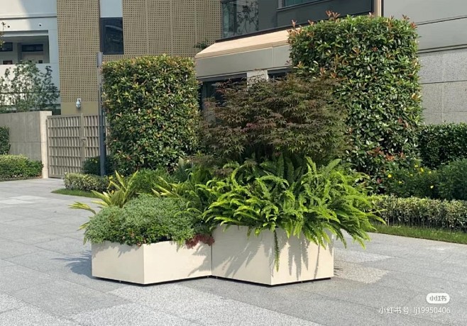 花箱植物配置 (13)