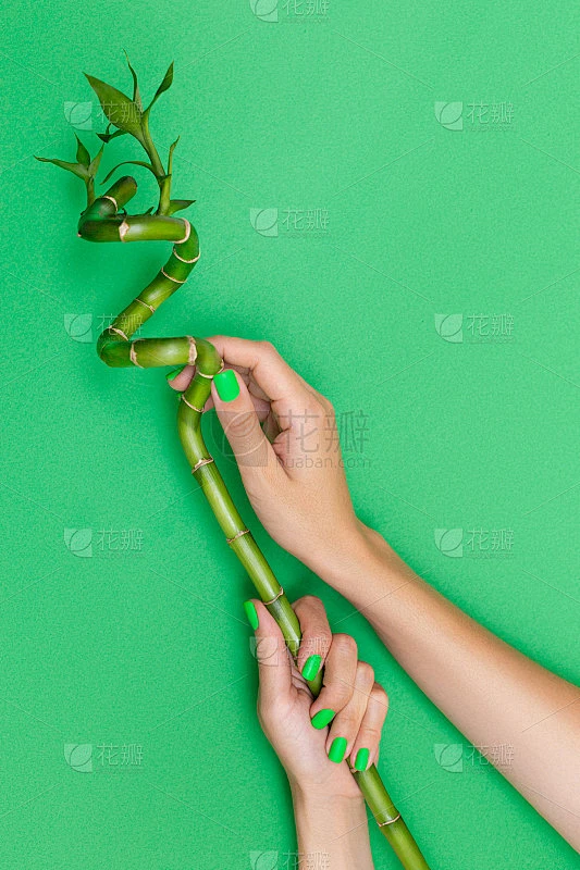 女性用美丽的手握着竹枝图片_其他图片图片素材-花瓣网