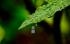 Lluren采集到Spring
