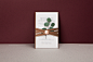 Wedding Invitation - 'Olive Tree' : Wedding Invitation Design