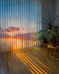 麻雀壁纸的微博_微博