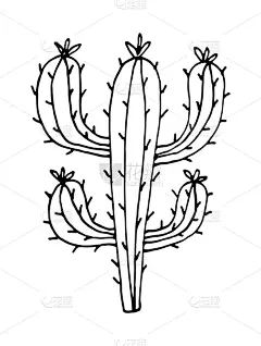 手,卡通,绘画插图,仙人掌,乱画,矢量,绘制