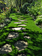 DIY Garden Path Ideas!