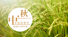 创客贴采集到中秋佳节—模板专题