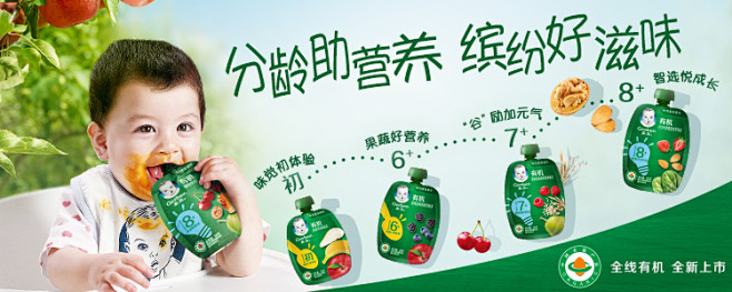 【嘉宝米粉】嘉宝(Gerber)米粉婴儿...