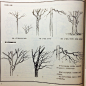 树木植物的画法，出自《建筑画环境表现与技法》。

#简笔画素材##简笔画教程# ​​​​