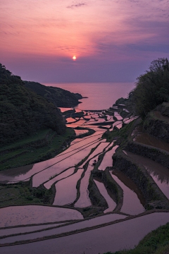 木韦采集到美景