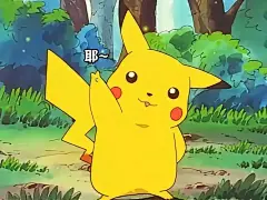 精灵宝可梦皮卡丘（表情）