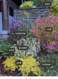 喜欢小皮球采集到种植