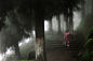 In the mood for rain | Christophe Jacrot photographie : la beauté de la pluie