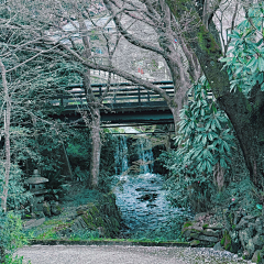 pipit采集到场景