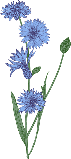 村口王柱子~采集到插画 ·手绘 · 素材