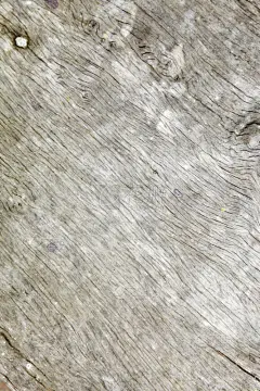 平视角,木制,特写,垂直画幅,留白,墙,无人,木材,古老的,乡村风格