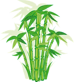 中国风卡通手绘绿色竹子水墨竹叶竹节