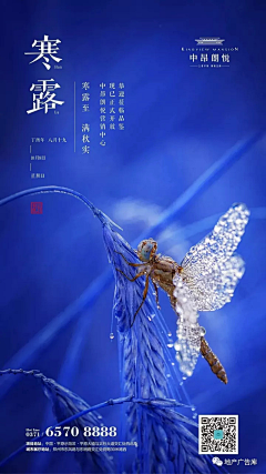 Charl1e采集到寒露