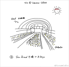 青年凉品采集到SeesawCoffee