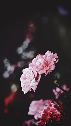 【高清手机壁纸。风景美图。城市风光摄影。设计灵感。桌面锁屏。日系韩系欧美。小清新。】❤️