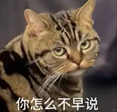 疯癫小猫表情包 - 小红书