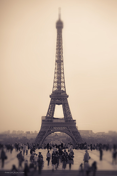 神吕蒙采集到Eiffel Tower !
