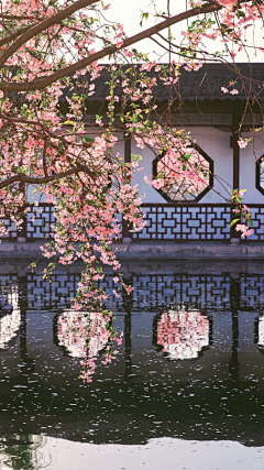 uka-采集到场景