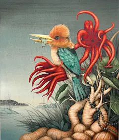 国外一组动物插画作品