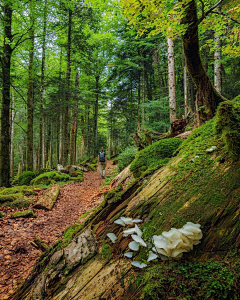 老蚊公采集到风景 山脉 山峰