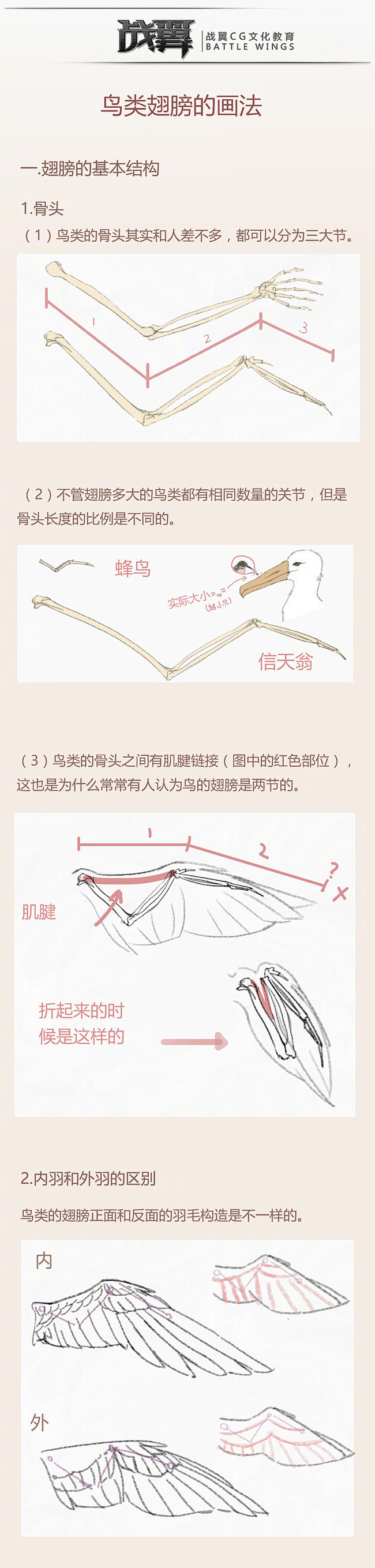 设计秀 天使之心---鸟类翅膀的画法！...