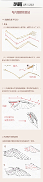 设计秀 天使之心---鸟类翅膀的画法！喜欢可以参考，转需~（作者：战翼） ​​​​