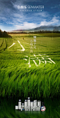 小满节气海报-源文件