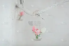 花瓶里的郁金香挂在用白砖砌成的墙上的装饰性树枝上