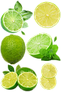 青柠檬水果免抠素材png柠檬片绿柠檬-众图网