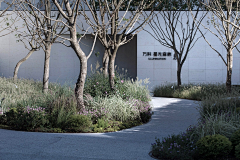 清风绕指采集到Landscape┃示范区