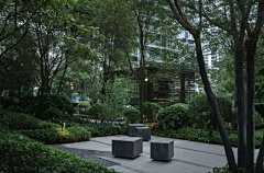 case-cheung采集到Ying