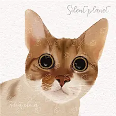 猫咪水彩写实风格插画设计