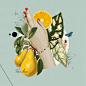 Top Creative Work On Behance : Showcase and discover creative work on the world's leading online platform for creative industries.